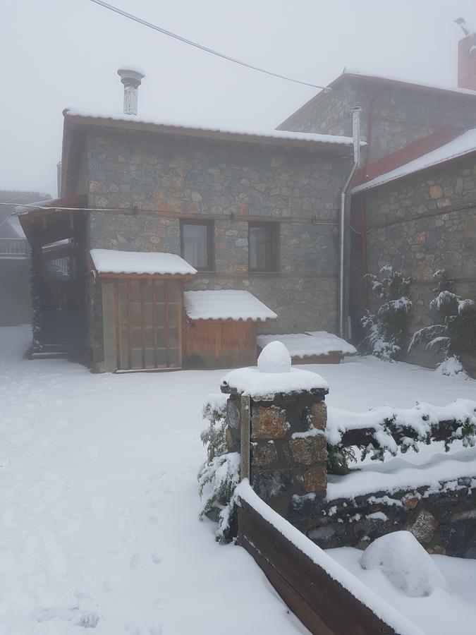 Hotel Aroma Elatis Agios Athanasios  Exterior foto